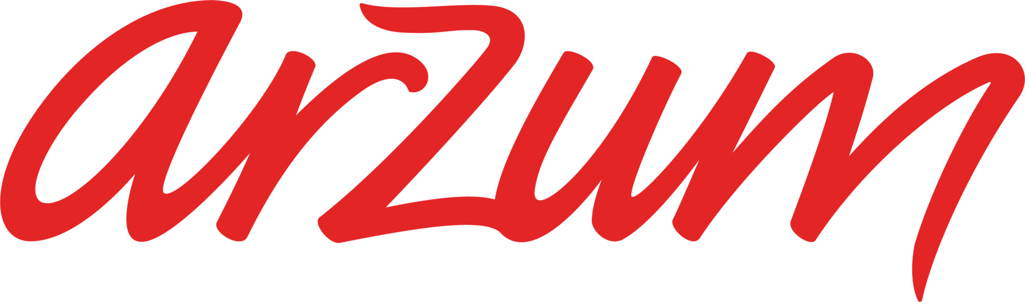 ARZUM Logo